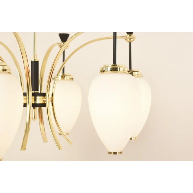 Black 6-Light Chandelier by Bruno Gatta for Stilnovo, 1950s For Sale - Image 8 of 14