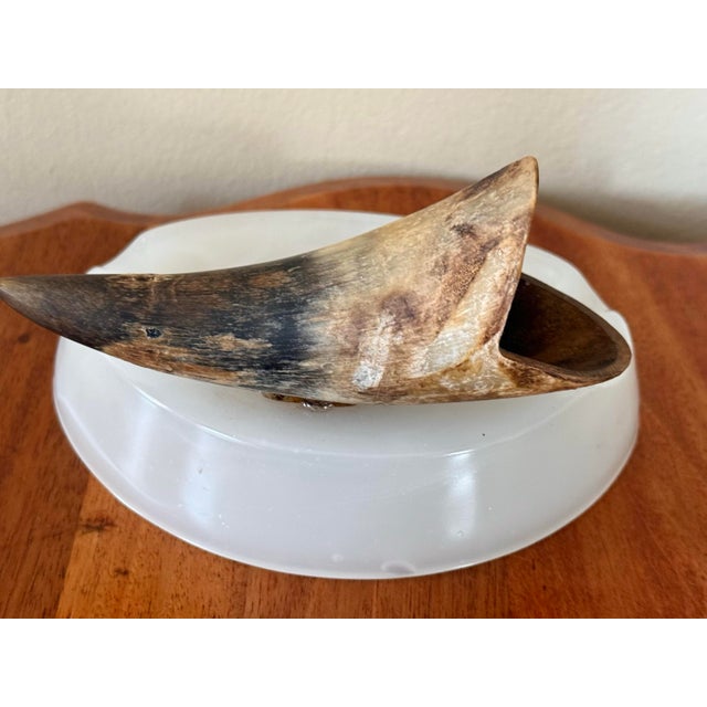 Natural Bull Horn Cigerette Ashtray For Sale - Image 4 of 6