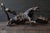 Japanese Wood Burl Animal-Form Object / Mitate Folk Art / 20th Century / Sc169 For Sale - Image 14 of 17