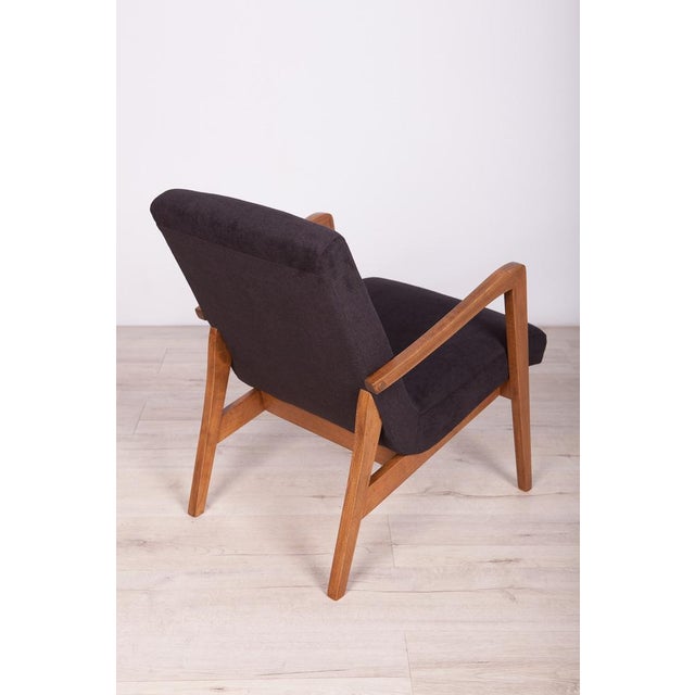 Set of Type 300-138 Beech Armchairs from Bystrzyckie Furniture Factory, 1960s For Sale - Image 11 of 18