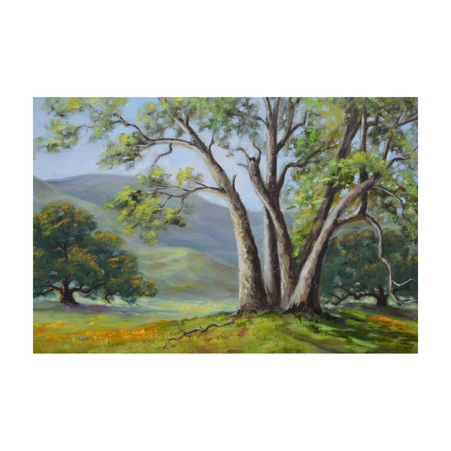 American California Oaks in Spring Landscape by Oleta Naomi Bode For Sale - Image 3 of 4
