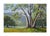 American California Oaks in Spring Landscape by Oleta Naomi Bode For Sale - Image 3 of 4