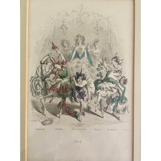Mid 19th Century “Les Fleurs Animées” Original Hand-Painted Antique French Lithographs 1846, Set of 6, Framed For Sale - Image 12 of 12