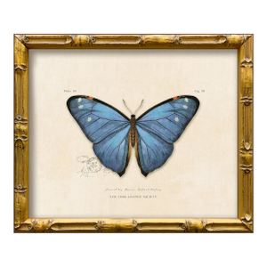 Reproduction Vintage "Garden Friends" Art Print (7) Blue Butterfly