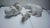 Bing & Grondahl Bing and Grondahl Copenhagen Polar Bear Family Set of 3 Super Rare For Sale - Image 4 of 6