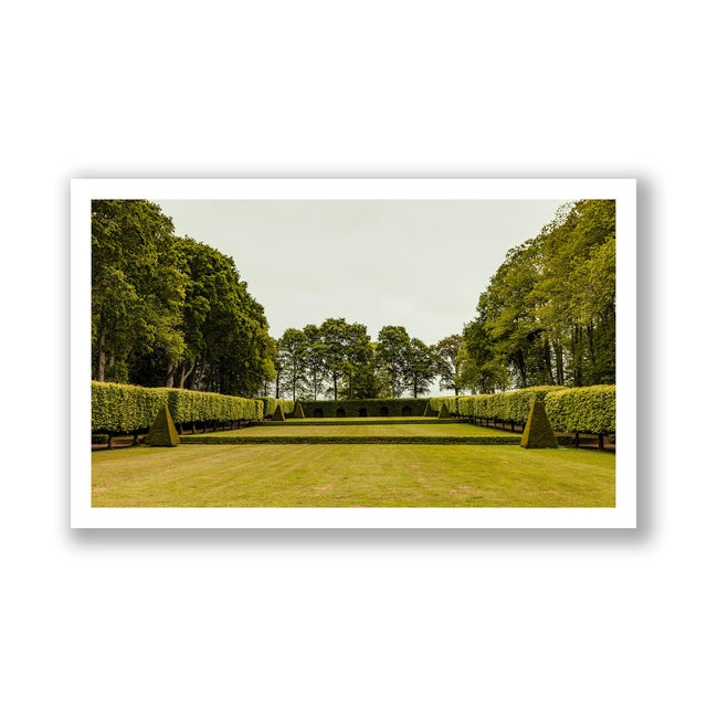 Contemporary Guy Sargent, The Garden, Photograph For Sale - Image 3 of 5