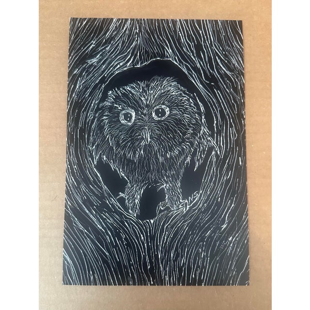 Striking and dramatic, this original scratchboard artwork depicts an owl emerging from the dark interior of a tree hollow....
