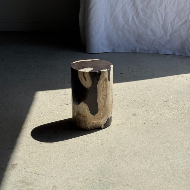 Small Side Table in Black and White Petrified Wood, 1980s For Sale - Image 11 of 18