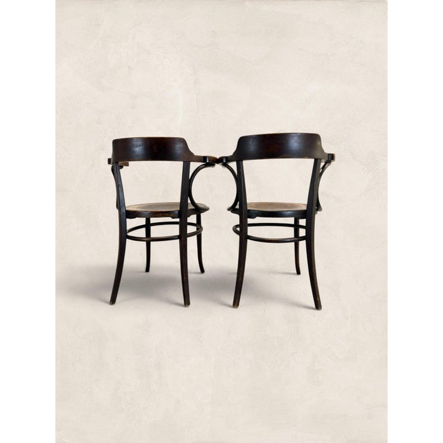 Antique Pair of English Art Nouveau Bentwood Armchairs For Sale - Image 10 of 10