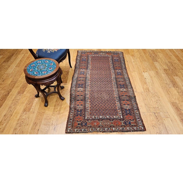 Terra Cotta Antique Kurdish Rug, Hand-Knotted Wool, All-over Paisley Pattern, Rust & Navy, 3x6 For Sale - Image 8 of 17