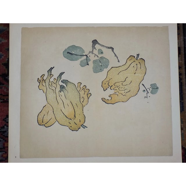 1940s Vintage Signed Chinese Botanical Color Lithographs - Set of 4 For Sale - Image 5 of 10