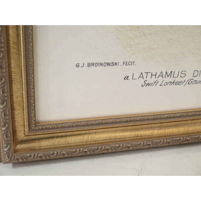 1990s Vintage Professionally Framed Bird Art For Sale In Philadelphia - Image 6 of 9