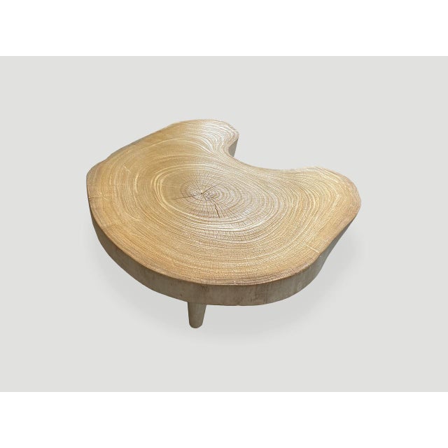 Andrianna Shamaris Amorphous Single Slab Mid-Century Modern Coffee Table For Sale - Image 11 of 16