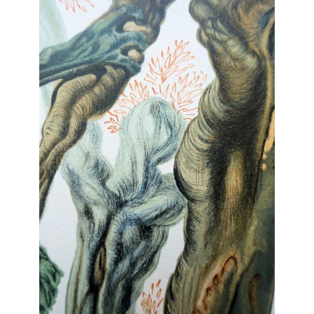 Salvador Dali, The Forest of Suicides, Woodcut For Sale - Image 5 of 8