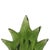 Floral Murano Glass Wall Sconces in Green, 2000, Set of 2 For Sale - Image 11 of 14