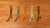 Mid-Century Modern German Wall Coat Rack, 1960s, Set of 5, in Very Good conditions. Designed 1960 to 1969
