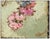 French Early 20th Century Reminiscences of Ballet, Dietz Edzard For Sale - Image 3 of 4