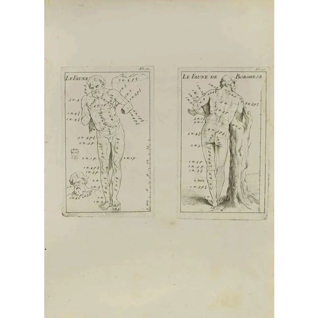 Anatomy Studies is an etching realized by Jean Francois Poletnich in 1755. Good conditions with foxing. The artwork is...