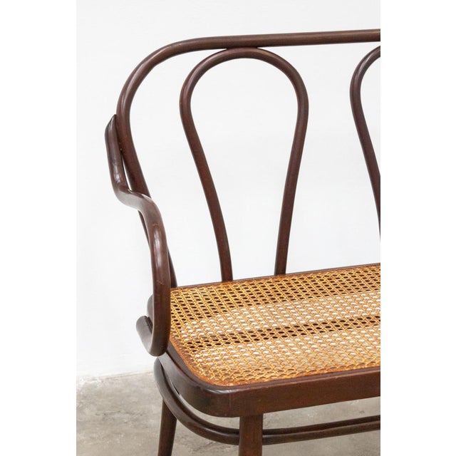 Bench, Late 19th Century For Sale - Image 5 of 11