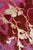 Modern Silk and Wool Modern Nepalese Rug , 8' X 10' For Sale - Image 3 of 5