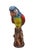 Vintage Italian Majolica Glazed Ceramic Parrot / Macaw Figurine on Tree Stump Base For Sale In West Palm - Image 6 of 12