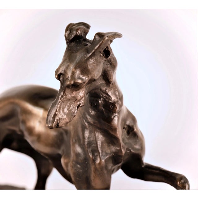 Circa 1800's Pierre-Jules Mene French ''Greyhound '' Signed Sculpture For Sale - Image 11 of 13