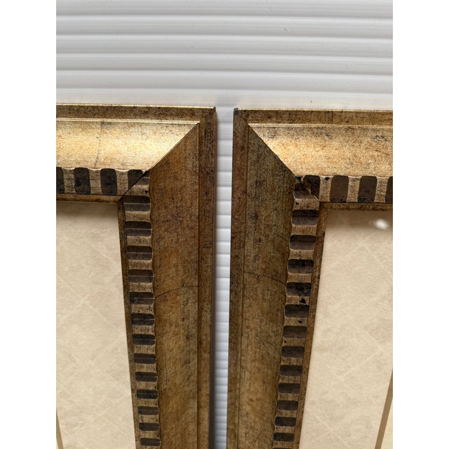 Paper Botanical Collection Plates, Set of Two For Sale - Image 7 of 12