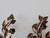 Italian Late 20th Century Hans Kögl Style Gilded Flowers Stems Leaves Wall Mount Candle Holders Sconces - a Pair For Sale - Image 3 of 18