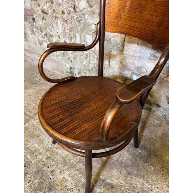 Antique Bentwood Armchair by Fischel, 1890s For Sale - Image 11 of 18