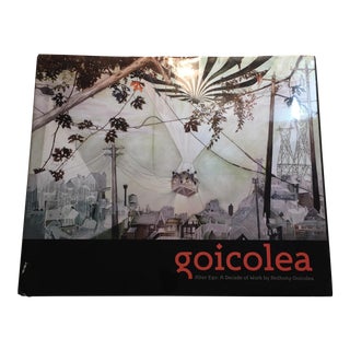 Anthony Goicolea Retrospective Book For Sale
