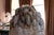 Gray Balam: Monumental Hand-Carved Brazilian Smoky Quartz Sculpture With Natural Elestial Formation For Sale - Image 8 of 16