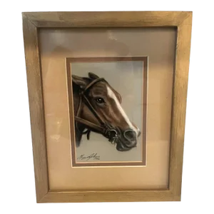 Horse Portrait, Framed