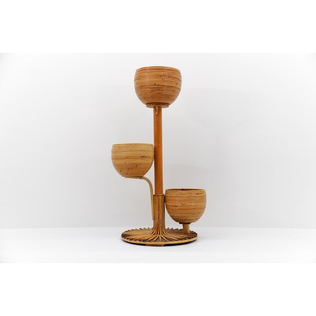Mid 20th Century Italian Bamboo and Rattan Plant Holder, 1950s For Sale - Image 5 of 10