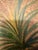 Vintage Boho Bamboo Parrot Painting, Illegible Signature, Framed 48” X 36 - Signed Unknown Artist For Sale - Image 11 of 12