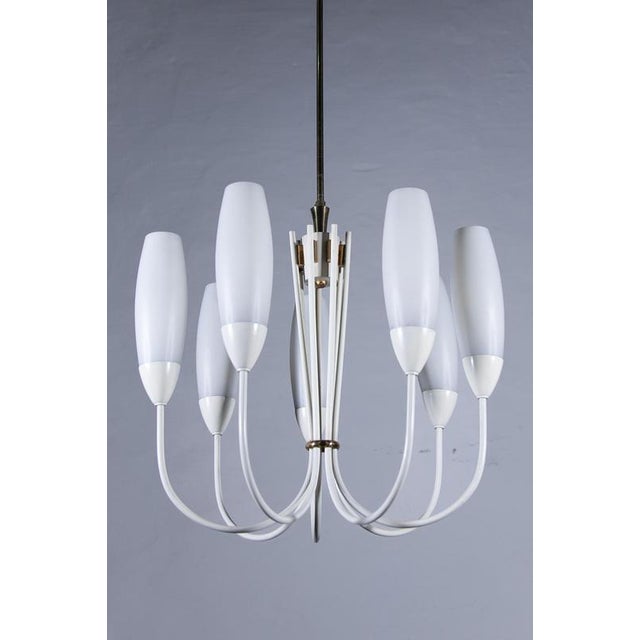 Mid-Century Modern Chandelier with 6 Opaline Glass Shades, 1950 For Sale - Image 6 of 10