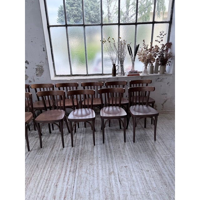 1970s Walnut Bistro Chairs, 1970s, Set of 14 For Sale - Image 5 of 18