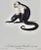 Realism White-Throated Capuchin Monkey: Framed Audebert 18th C. Hand-Colored Engraving, 1797 For Sale - Image 3 of 6