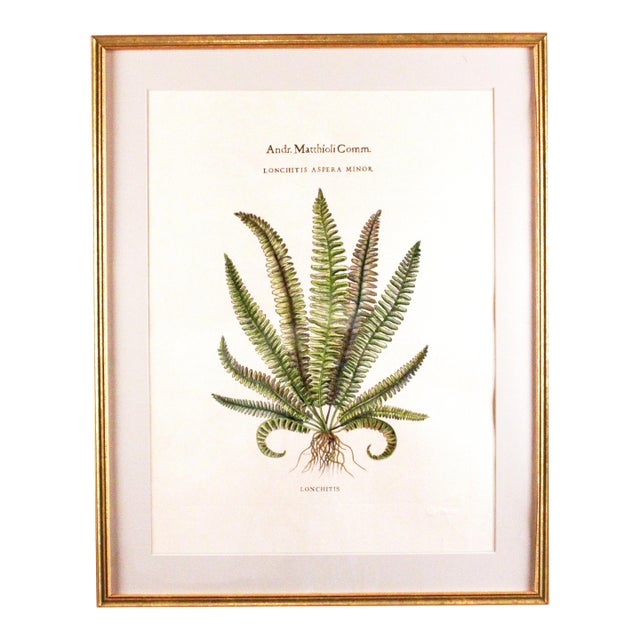 Original Vintage Custom Botanical Fern Reproduction Print with Makers Stamp For Sale