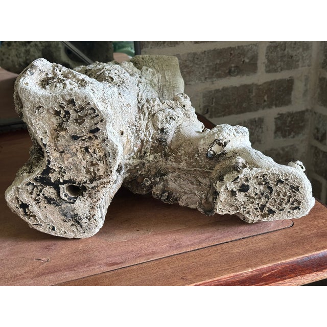 Mid-Century French Faux Bois Concrete Tree Stump Planter in Sculptural Burl Form For Sale - Image 17 of 17