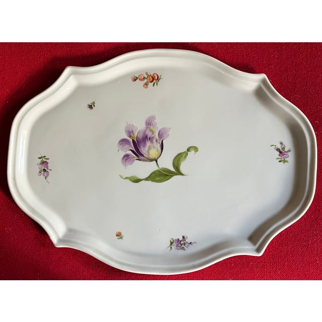 Ceramic Antique 19th Century Nymphenburg Porcelain Tray or Platter Decorated With Parrot Tulip and Sprig Flowers For Sale - Image 7 of 7
