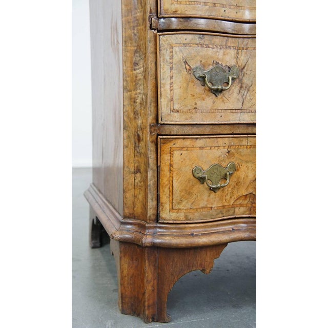 18th Century Baroque Organ-Curved Burr Walnut Wooden Chest of Drawers For Sale - Image 11 of 15