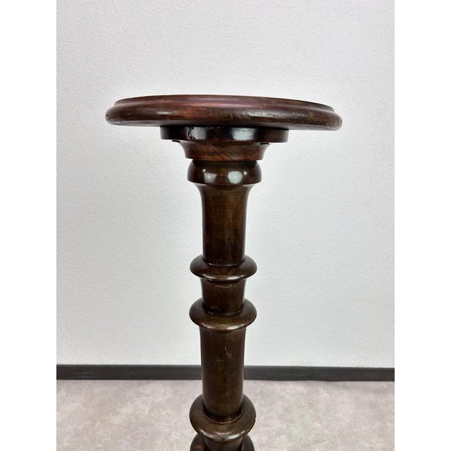 1920s Art Deco Palm Plant Stand in the style of Dagobert Peche, 1920s For Sale - Image 5 of 10