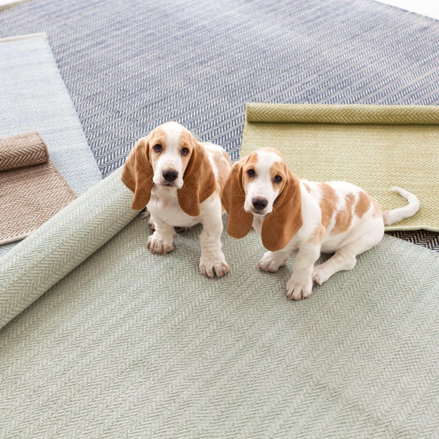 2020s Dash & Albert by Annie Selke Herringbone Indigo Woven Cotton Rug, 7' 6" x 9' 6" For Sale - Image 5 of 6