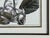 Victorian Style, Framed Butterfly Prints, Gilt, Painted Wood, Usa, 20th C. For Sale - Image 10 of 12