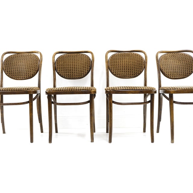 Vintage Bentwood Chairs, 1970s, Set of 4 For Sale - Image 4 of 8