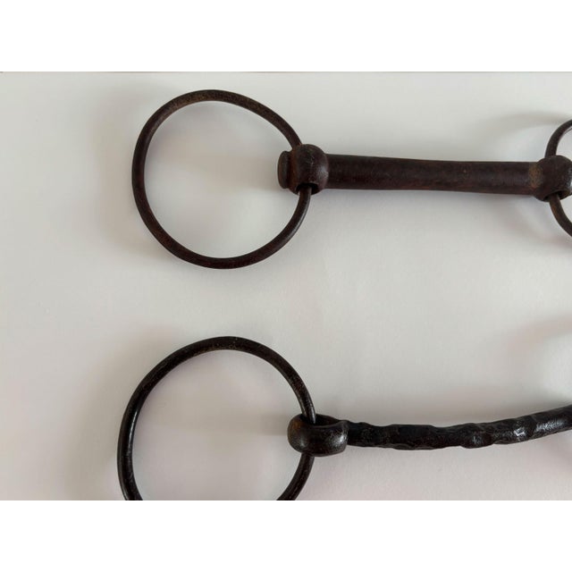 Metal 1900s Antique Horse Bits, Set of 3 For Sale - Image 7 of 8