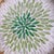 2020s Set of Two Green Mandala Pattern Rattan and Mother-of-Pearl Inlaid Round Trays For Sale - Image 5 of 5