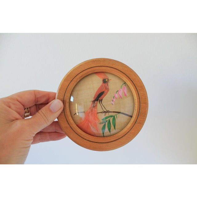 Folk Art Vintage Feather Art Bird Wall Hangings For Sale - Image 3 of 7