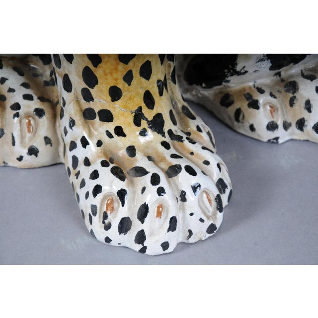 Leopard with Broken Foot For Sale - Image 16 of 18