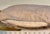 Lillian August Lillian August Home Embroidered Botanical Bird Lumbar Pillow With Fringe Trim and Down Insert For Sale - Image 4 of 6